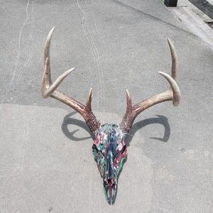 Meet your Posher, Enoch